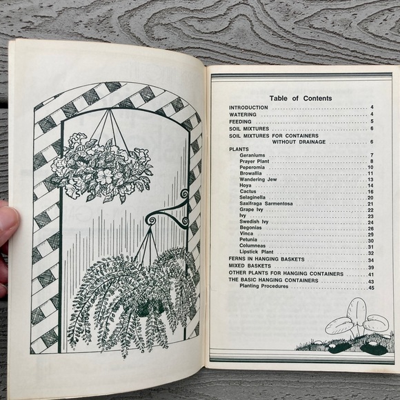 1973 Gardening with Hanging Baskets Rex E. Mabe Vintage Gardening Book Gift Idea - Picture 10 of 12